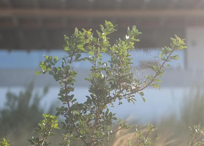 Oskelos Villa Kastraki (Naxos)